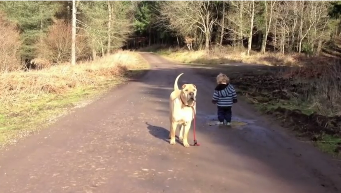 Boy with a dog
